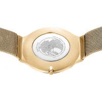 Load image into Gallery viewer, BERING Polished/Brushed Gold Slim