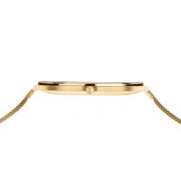Load image into Gallery viewer, BERING Polished/Brushed Gold Slim
