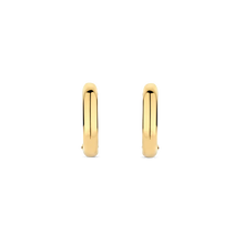 Load image into Gallery viewer, TI SENTO Earrings