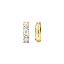 Load image into Gallery viewer, TI SENTO Earrings