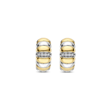 Load image into Gallery viewer, TI SENTO Earrings