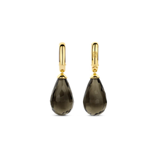 Load image into Gallery viewer, TI SENTO Earrings
