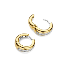 Load image into Gallery viewer, TI SENTO Earrings