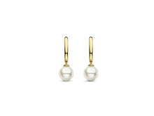 Load image into Gallery viewer, Ti Sento Earrings
