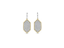 Load image into Gallery viewer, Ti Sento Earrings
