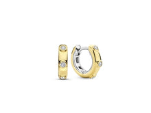 Load image into Gallery viewer, Ti Sento Earrings