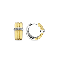 Load image into Gallery viewer, Ti Sento Earrings