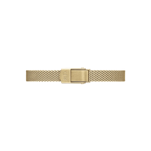 Load image into Gallery viewer, Quadro Mini Evergold Blush