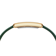 Load image into Gallery viewer, Bound Crocodile Champagne Sunray Gold