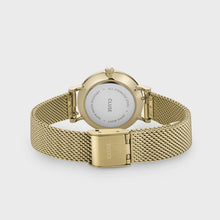 Load image into Gallery viewer, Boho Chic Petite Mesh White, Gold Colour