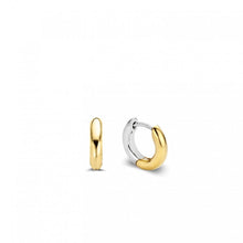 Load image into Gallery viewer, Ti Sento Yellow Gold CZ Earrings