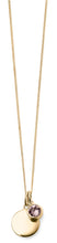 Load image into Gallery viewer, Gold Plated Sterling Silver Birthstone Disc Pendant