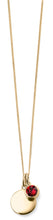 Load image into Gallery viewer, Gold Plated Sterling Silver Birthstone Disc Pendant