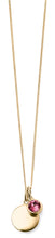 Load image into Gallery viewer, Gold Plated Sterling Silver Birthstone Disc Pendant