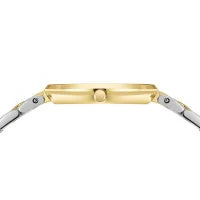 Load image into Gallery viewer, BERING Classic Two Tone
