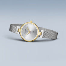 Load image into Gallery viewer, BERING Classic

