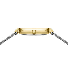 Load image into Gallery viewer, BERING Classic
