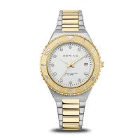 Load image into Gallery viewer, BERING Classic Two Tone
