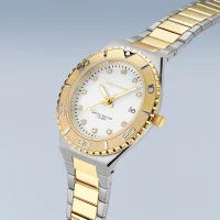 Load image into Gallery viewer, BERING Classic Two Tone
