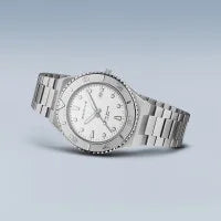 Load image into Gallery viewer, BERING Classic
