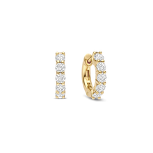 Load image into Gallery viewer, TI SENTO Earrings
