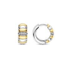 Load image into Gallery viewer, TI SENTO Earrings

