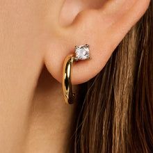 Load image into Gallery viewer, TI SENTO Earrings
