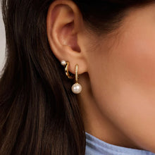 Load image into Gallery viewer, TI SENTO Earrings
