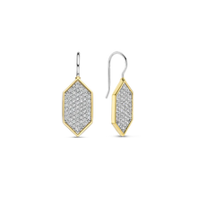 Load image into Gallery viewer, Ti Sento Earrings
