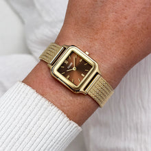 Load image into Gallery viewer, Cluse Gracieuse Petite Watch Mesh, Brown

