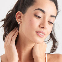 Load image into Gallery viewer, Luxe Huggie Hoop Earrings
