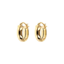 Load image into Gallery viewer, Bronzallure Earrings
