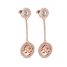 Load image into Gallery viewer, Rose Gold Plated Earring Clear Stones
