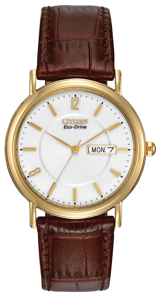 Citizen Classic Day- Date Eco-Drive Gents